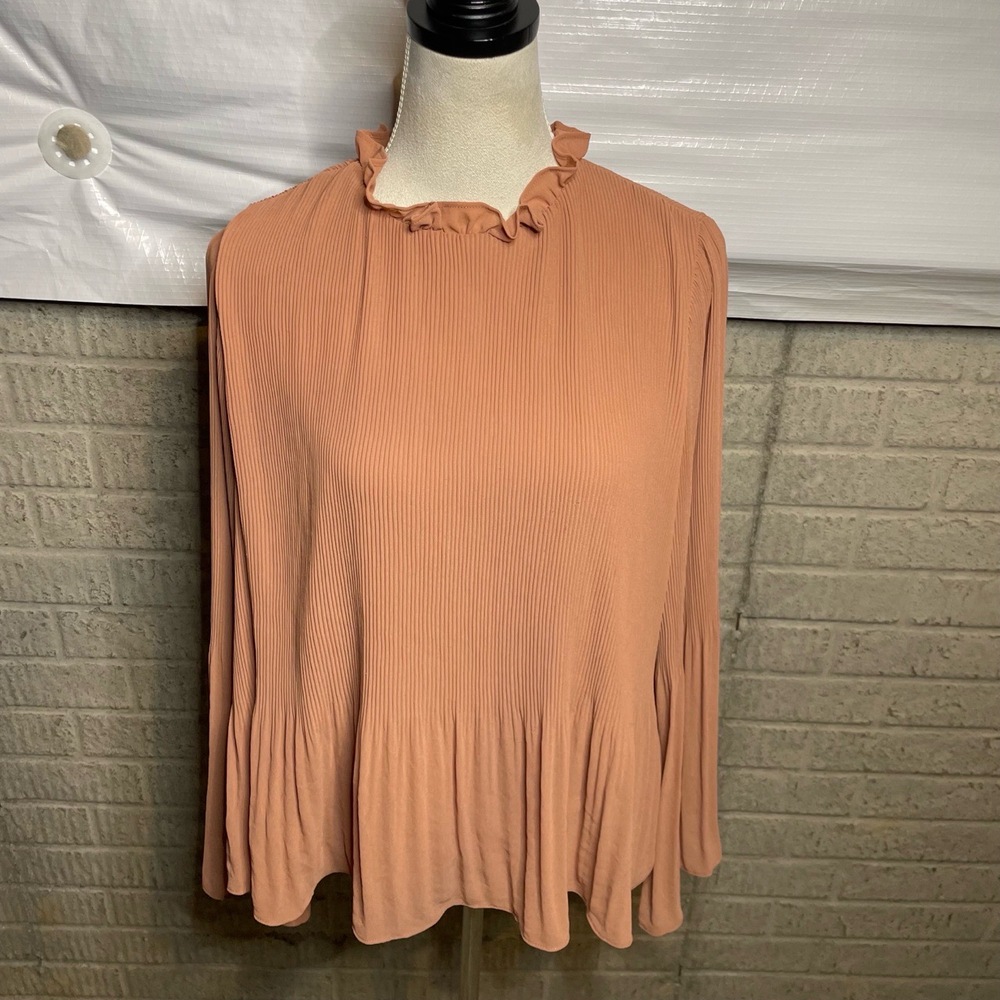 Lassiter Pleated‎ Fabric Ruffled Collar Flowy Long Sleeve Blouse Size Medium